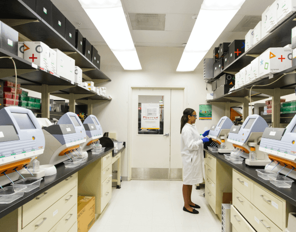 Technicians at work in a lab